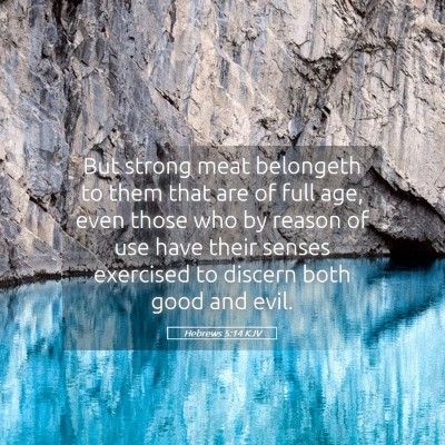 Picture 05 - Hebrews 5:14 KJV - But strong meat belongeth to them that are of - Bible Verse Picture
