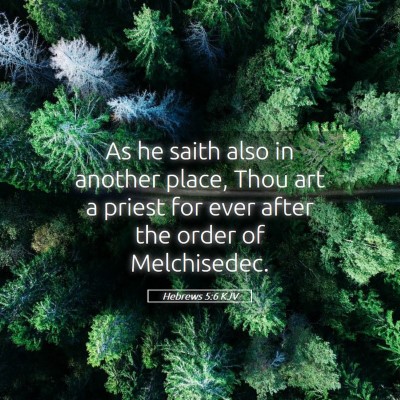 Picture 05 - Hebrews 5:6 KJV - As he saith also in another place, Thou art a - Bible Verse Picture
