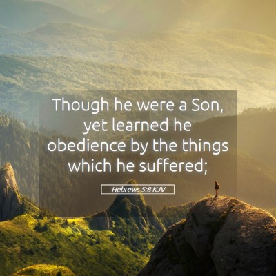 Picture 05 - Hebrews 5:8 KJV - Though he were a Son, yet learned he obedience by - Bible Verse Picture