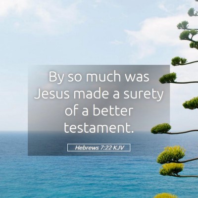 Picture 05 - Hebrews 7:22 KJV - By so much was Jesus made a surety of a better - Bible Verse Picture