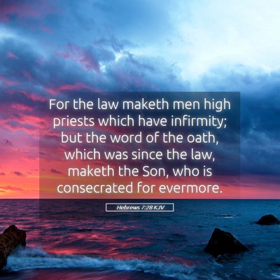 Picture 05 - Hebrews 7:28 KJV - For the law maketh men high priests which have - Bible Verse Picture
