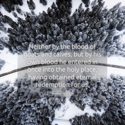 Picture 05 - Hebrews 9:12 KJV - Neither by the blood of goats and calves, but by - Bible Verse Picture