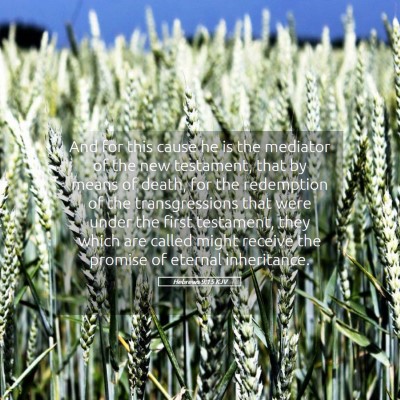Picture 05 - Hebrews 9:15 KJV - And for this cause he is the mediator of the new - Bible Verse Picture