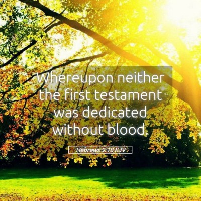 Picture 05 - Hebrews 9:18 KJV - Whereupon neither the first testament was - Bible Verse Picture