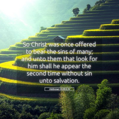 Picture 05 - Hebrews 9:28 KJV - So Christ was once offered to bear the sins of - Bible Verse Picture