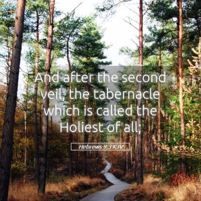 Picture 05 - Hebrews 9:3 KJV - And after the second veil, the tabernacle which - Bible Verse Picture