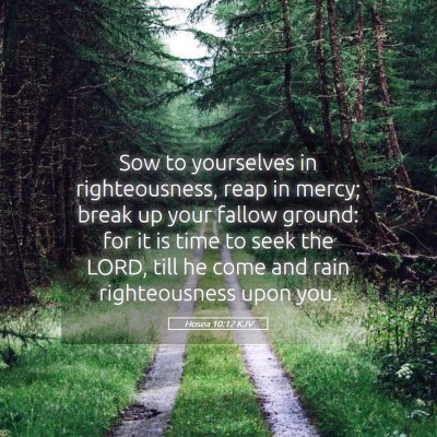 Picture 05 - Hosea 10:12 KJV - Sow to yourselves in righteousness, reap in - Bible Verse Picture