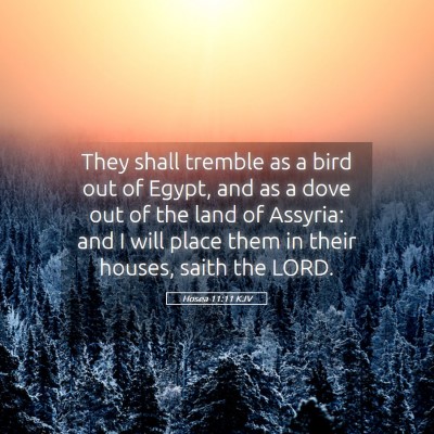 Picture 05 - Hosea 11:11 KJV - They shall tremble as a bird out of Egypt, and as - Bible Verse Picture