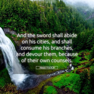 Picture 05 - Hosea 11:6 KJV - And the sword shall abide on his cities, and - Bible Verse Picture
