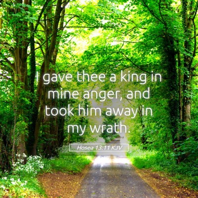 Picture 05 - Hosea 13:11 KJV - I gave thee a king in mine anger, and took him - Bible Verse Picture