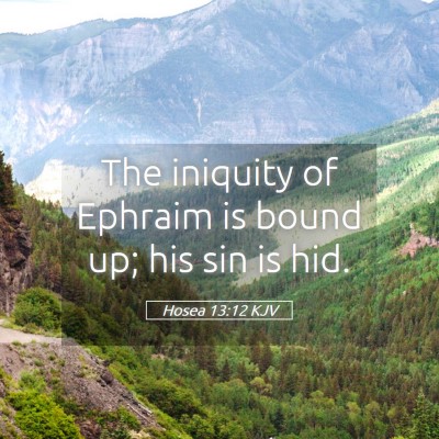 Picture 05 - Hosea 13:12 KJV - The iniquity of Ephraim is bound up; his sin is - Bible Verse Picture