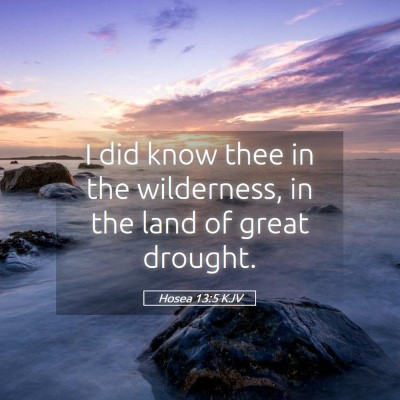 Picture 05 - Hosea 13:5 KJV - I did know thee in the wilderness, in the land of - Bible Verse Picture