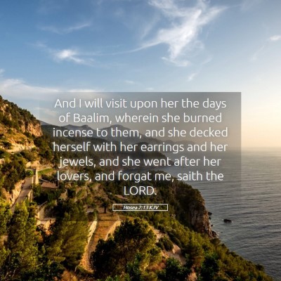 Picture 05 - Hosea 2:13 KJV - And I will visit upon her the days of Baalim, - Bible Verse Picture