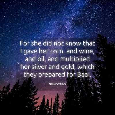 Picture 05 - Hosea 2:8 KJV - For she did not know that I gave her corn, and - Bible Verse Picture