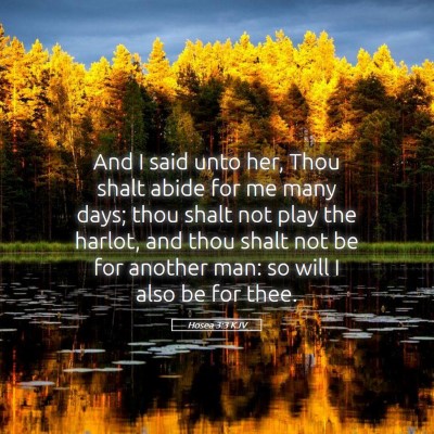 Picture 05 - Hosea 3:3 KJV - And I said unto her, Thou shalt abide for me many - Bible Verse Picture