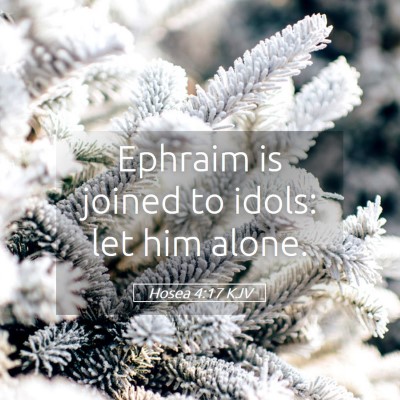 Picture 05 - Hosea 4:17 KJV - Ephraim is joined to idols: let him - Bible Verse Picture