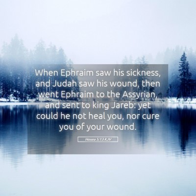 Picture 05 - Hosea 5:13 KJV - When Ephraim saw his sickness, and Judah saw his - Bible Verse Picture