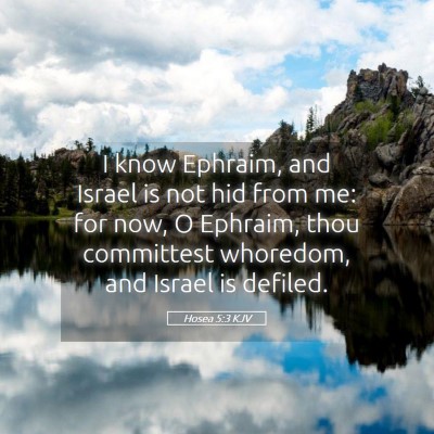 Picture 05 - Hosea 5:3 KJV - I know Ephraim, and Israel is not hid from me: - Bible Verse Picture