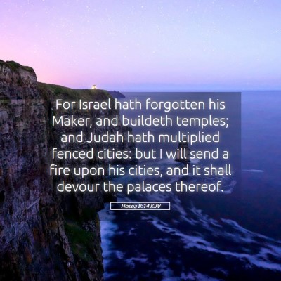 Picture 05 - Hosea 8:14 KJV - For Israel hath forgotten his Maker, and buildeth - Bible Verse Picture