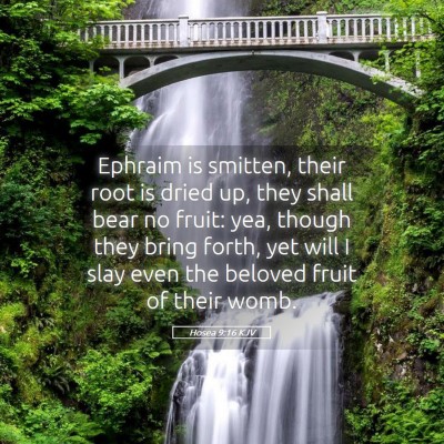 Picture 05 - Hosea 9:16 KJV - Ephraim is smitten, their root is dried up, they - Bible Verse Picture