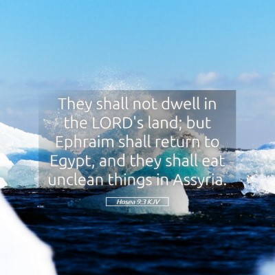 Picture 05 - Hosea 9:3 KJV - They shall not dwell in the LORD's land; but - Bible Verse Picture