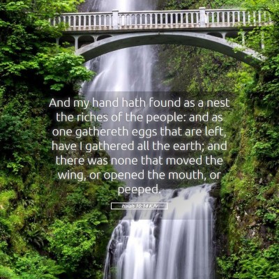 Picture 05 - Isaiah 10:14 KJV - And my hand hath found as a nest the riches of - Bible Verse Picture