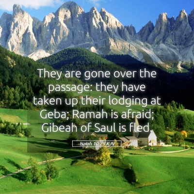 Picture 05 - Isaiah 10:29 KJV - They are gone over the passage: they have taken - Bible Verse Picture