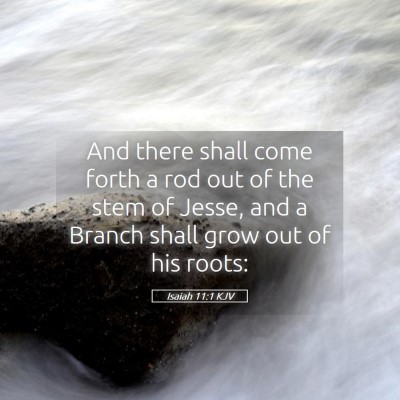 Picture 05 - Isaiah 11:1 KJV - And there shall come forth a rod out of the stem - Bible Verse Picture