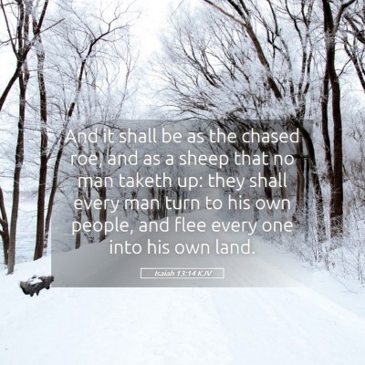 Picture 05 - Isaiah 13:14 KJV - And it shall be as the chased roe, and as a sheep - Bible Verse Picture