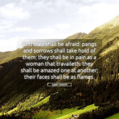 Picture 05 - Isaiah 13:8 KJV - And they shall be afraid: pangs and sorrows shall - Bible Verse Picture