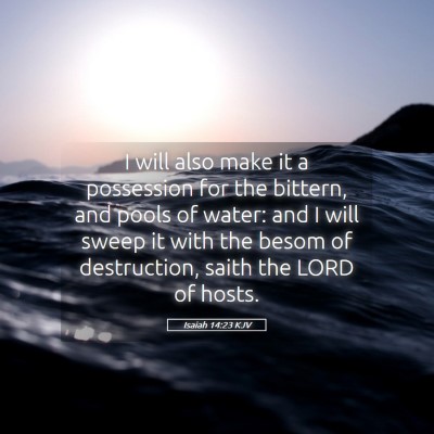 Picture 05 - Isaiah 14:23 KJV - I will also make it a possession for the bittern, - Bible Verse Picture