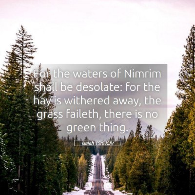 Picture 05 - Isaiah 15:6 KJV - For the waters of Nimrim shall be desolate: for - Bible Verse Picture