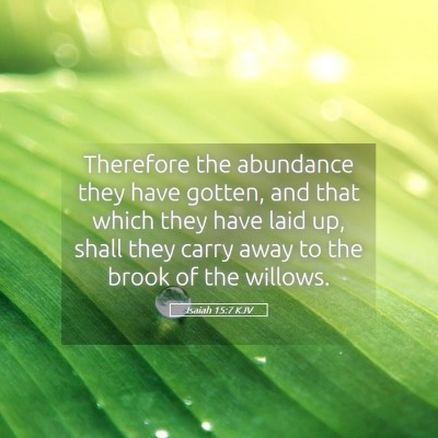 Picture 05 - Isaiah 15:7 KJV - Therefore the abundance they have gotten, and - Bible Verse Picture