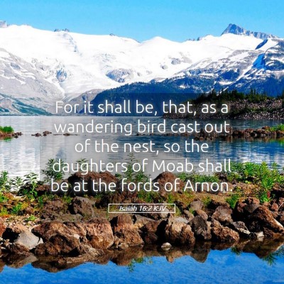 Picture 05 - Isaiah 16:2 KJV - For it shall be, that, as a wandering bird cast - Bible Verse Picture