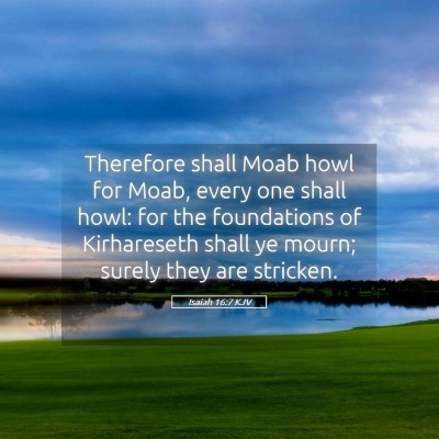 Picture 05 - Isaiah 16:7 KJV - Therefore shall Moab howl for Moab, every one - Bible Verse Picture