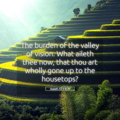 Picture 05 - Isaiah 22:1 KJV - The burden of the valley of vision. What aileth - Bible Verse Picture