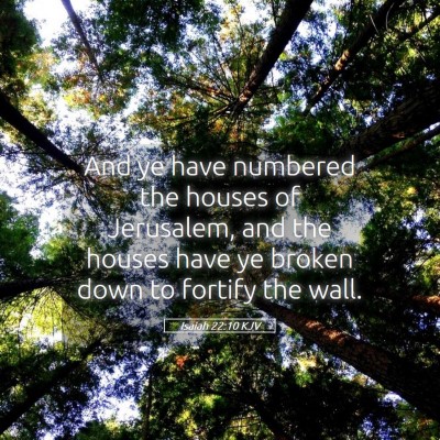 Picture 05 - Isaiah 22:10 KJV - And ye have numbered the houses of Jerusalem, and - Bible Verse Picture