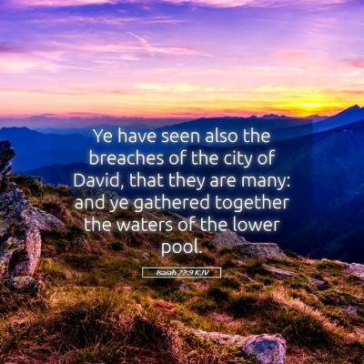 Picture 05 - Isaiah 22:9 KJV - Ye have seen also the breaches of the city of - Bible Verse Picture