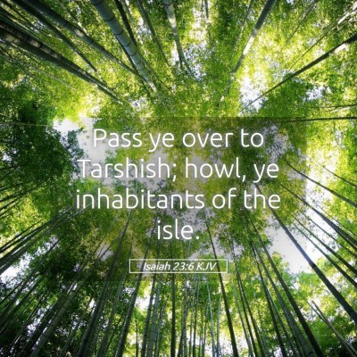 Picture 05 - Isaiah 23:6 KJV - Pass ye over to Tarshish; howl, ye inhabitants of - Bible Verse Picture