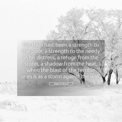 Picture 05 - Isaiah 25:4 KJV - For thou hast been a strength to the poor, a - Bible Verse Picture