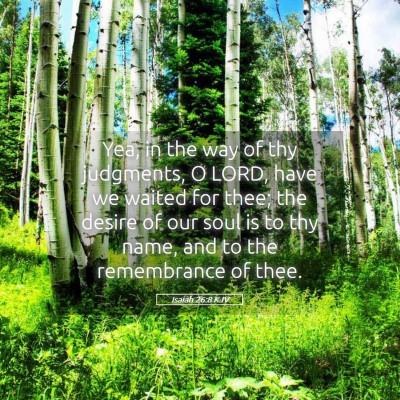 Picture 05 - Isaiah 26:8 KJV - Yea, in the way of thy judgments, O LORD, have we - Bible Verse Picture