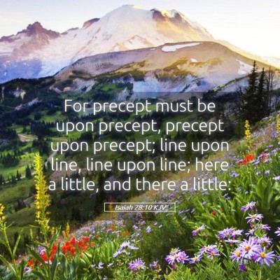 Picture 05 - Isaiah 28:10 KJV - For precept must be upon precept, precept upon - Bible Verse Picture