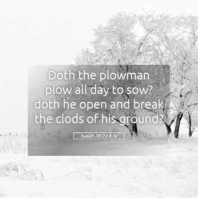 Picture 05 - Isaiah 28:24 KJV - Doth the plowman plow all day to sow? doth he - Bible Verse Picture