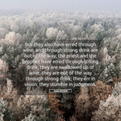 Picture 05 - Isaiah 28:7 KJV - But they also have erred through wine, and - Bible Verse Picture