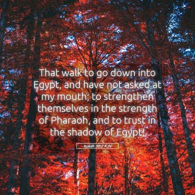 Picture 05 - Isaiah 30:2 KJV - That walk to go down into Egypt, and have not - Bible Verse Picture