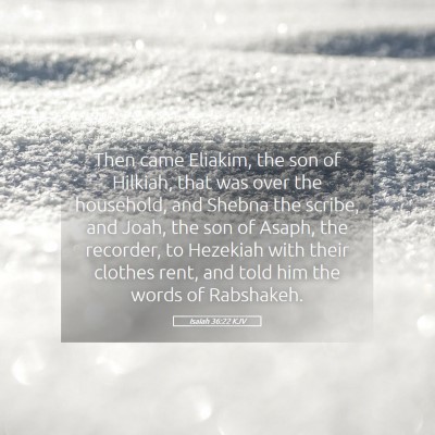 Picture 05 - Isaiah 36:22 KJV - Then came Eliakim, the son of Hilkiah, that was - Bible Verse Picture