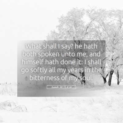Picture 05 - Isaiah 38:15 KJV - What shall I say? he hath both spoken unto me, - Bible Verse Picture