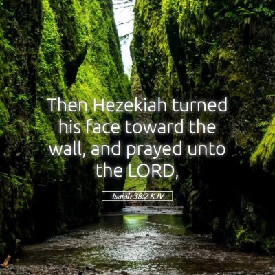 Picture 05 - Isaiah 38:2 KJV - Then Hezekiah turned his face toward the wall, - Bible Verse Picture