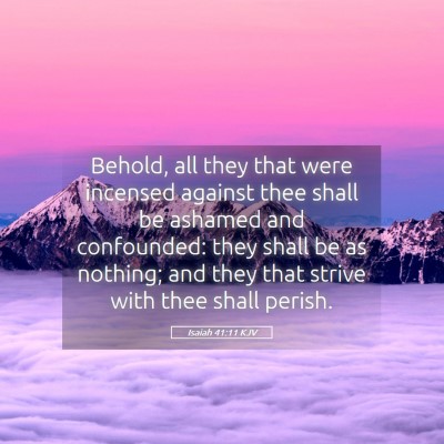Picture 05 - Isaiah 41:11 KJV - Behold, all they that were incensed against thee - Bible Verse Picture