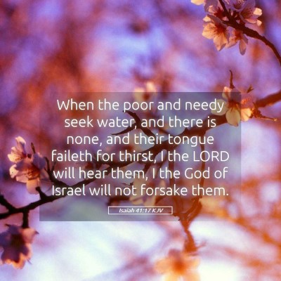 Picture 05 - Isaiah 41:17 KJV - When the poor and needy seek water, and there is - Bible Verse Picture